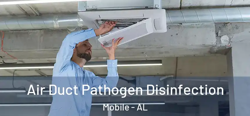  Air Duct Pathogen Disinfection Mobile - AL