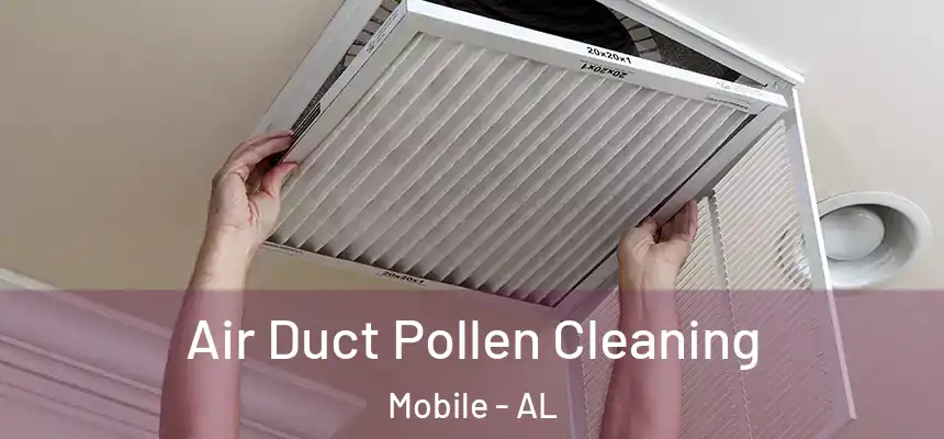 Air Duct Pollen Cleaning Mobile - AL