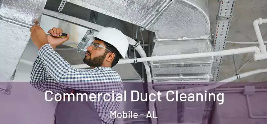 Commercial Duct Cleaning Mobile - AL