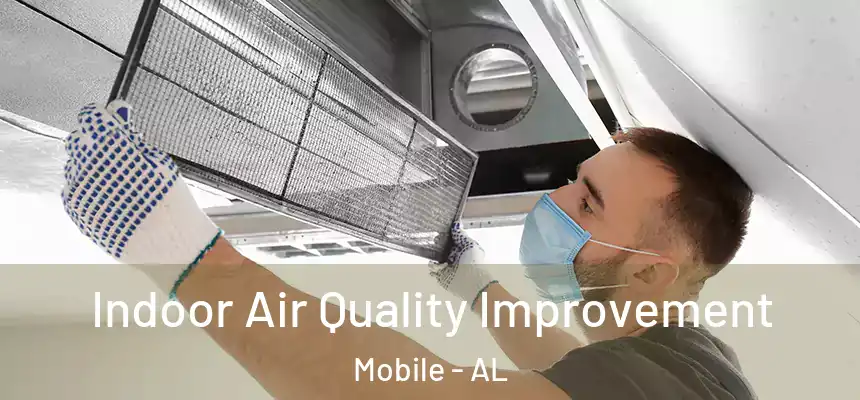  Indoor Air Quality Improvement Mobile - AL