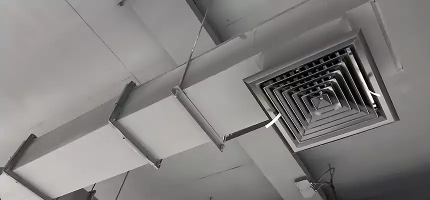 Our Rodent Droppings In Vents Services in Mobile, AL