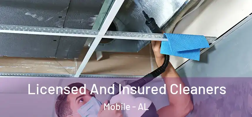 Licensed And Insured Cleaners Mobile - AL