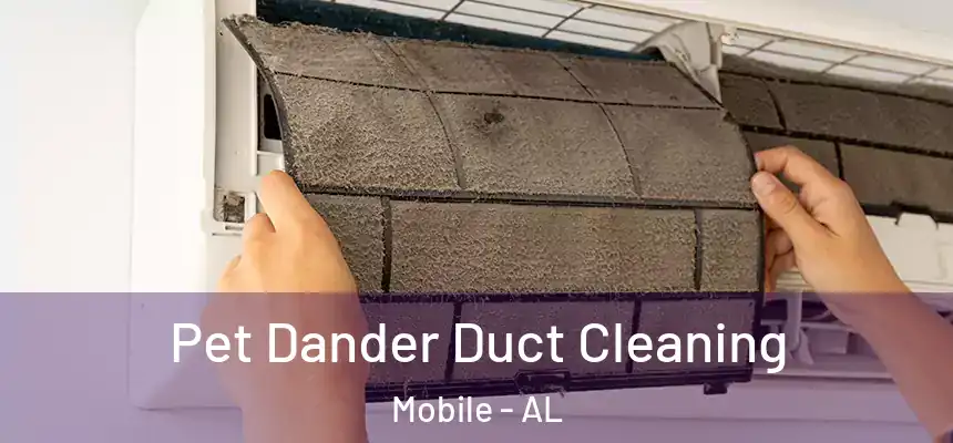  Pet Dander Duct Cleaning Mobile - AL