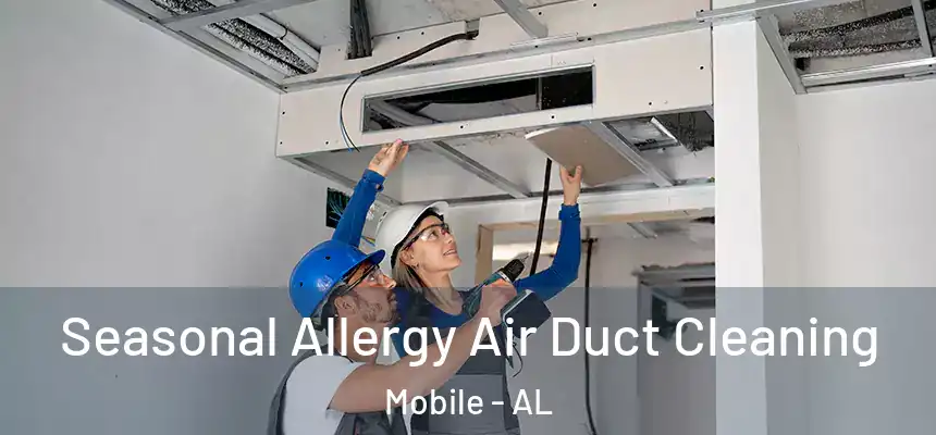 Seasonal Allergy Air Duct Cleaning Mobile - AL