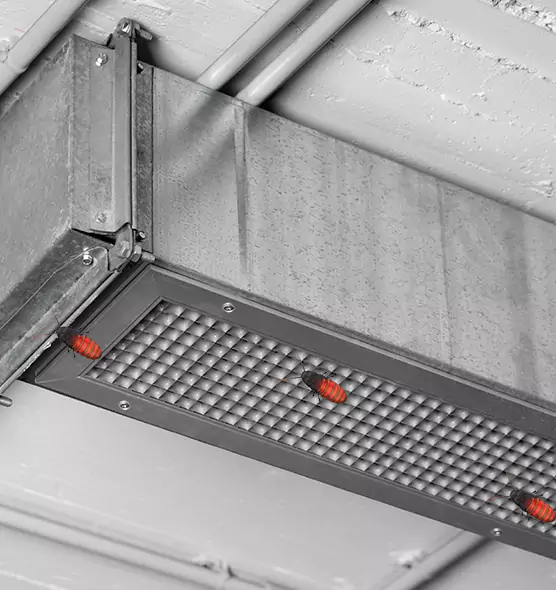 About Air Duct Cockroach Removal in Mobile, AL
