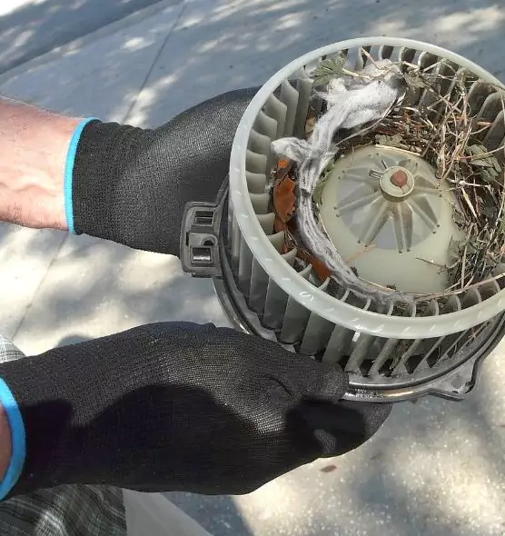 About Air Duct Mice Removal in Mobile, AL