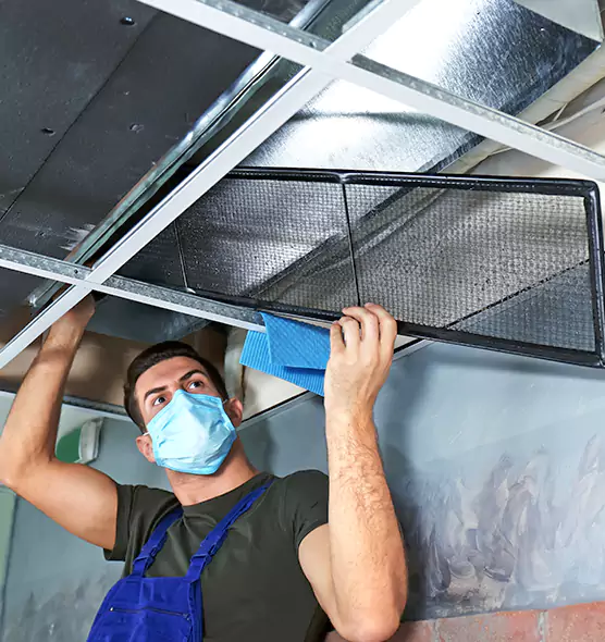 Professional Home Ventilation Cleaning in Mobile, AL
