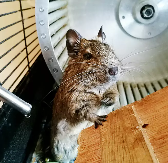 Why Homeowners & Businesses Trust Us Mobile, AL