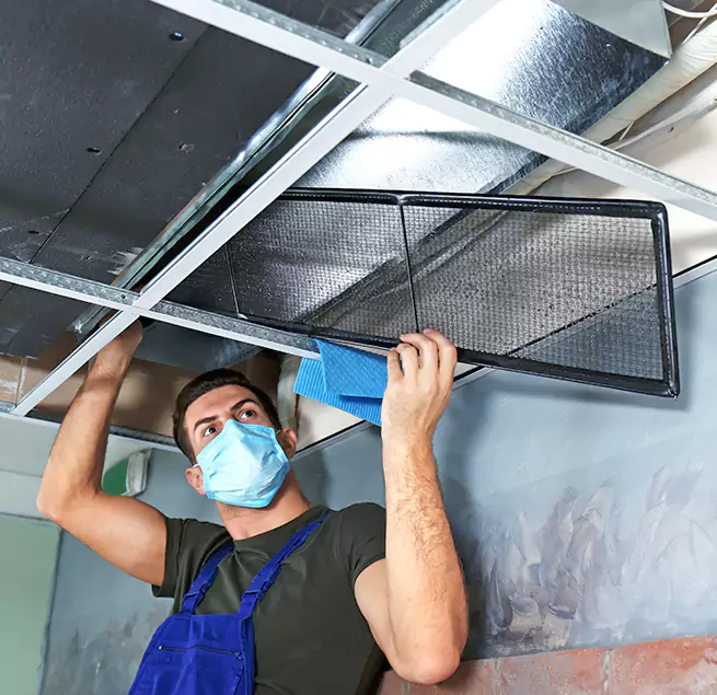 Why Homeowners & Businesses Trust Us in Mobile, AL?