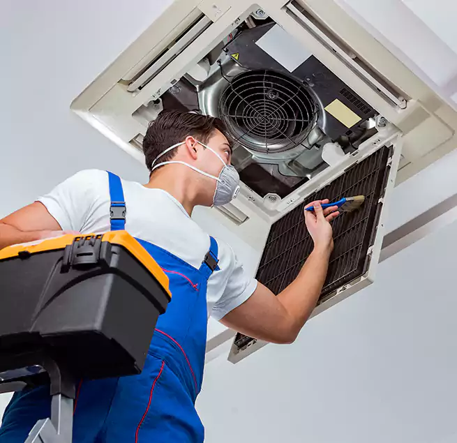 Why Homeowners & Businesses Trust Us in Mobile, AL?